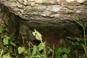 Coed y Glyn Burial Chamber - PID:153193