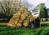 Llanddfynan Standing Stone - PID:52132