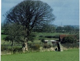 Bryn Gwyn Stones - PID:46582