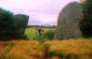 Bryn Gwyn Stones - PID:1694