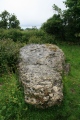 Coed y Glyn Burial Chamber - PID:153198