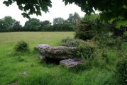 Coed y Glyn Burial Chamber - PID:153195