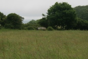 Coed y Glyn Burial Chamber - PID:153199