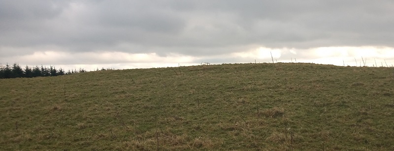 The cairn now reduced to a low, grassy mound.