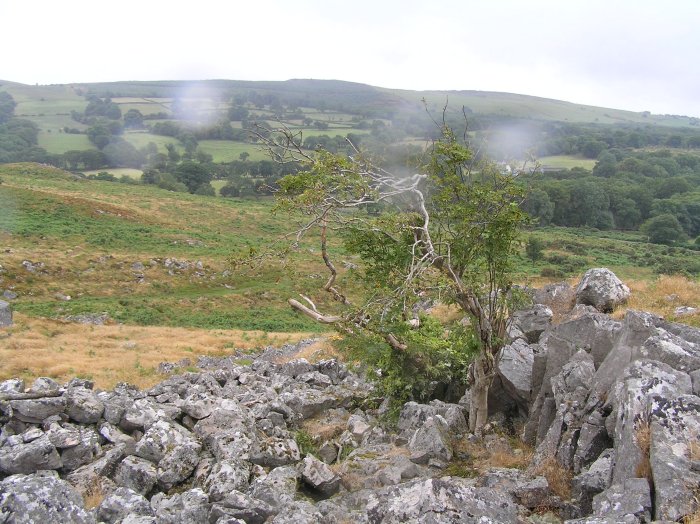 Carn Goch (Carmarthenshire)