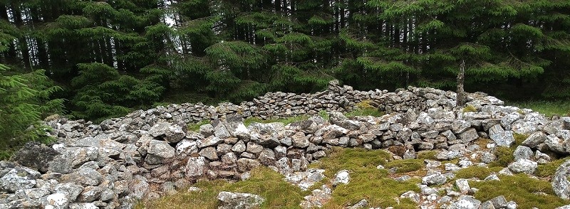 The sheep pens built with stones cannibalised from the cairn.