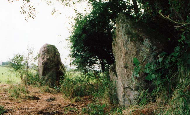 According to the nearby notice board these stones known as Merlin's Quoits once formed part of a 'cromlech dating back to Neolithic times' and later became linked to the legendary Merlin who was so great that stones like these were his play things!

The two remaining stones are located on a footpath (an old drover's road from Narbeth to Carmarthen) at SN37911601.   The stones stand 4m apart clos