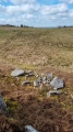 Mynydd Llangynderyrn Burial Chambers