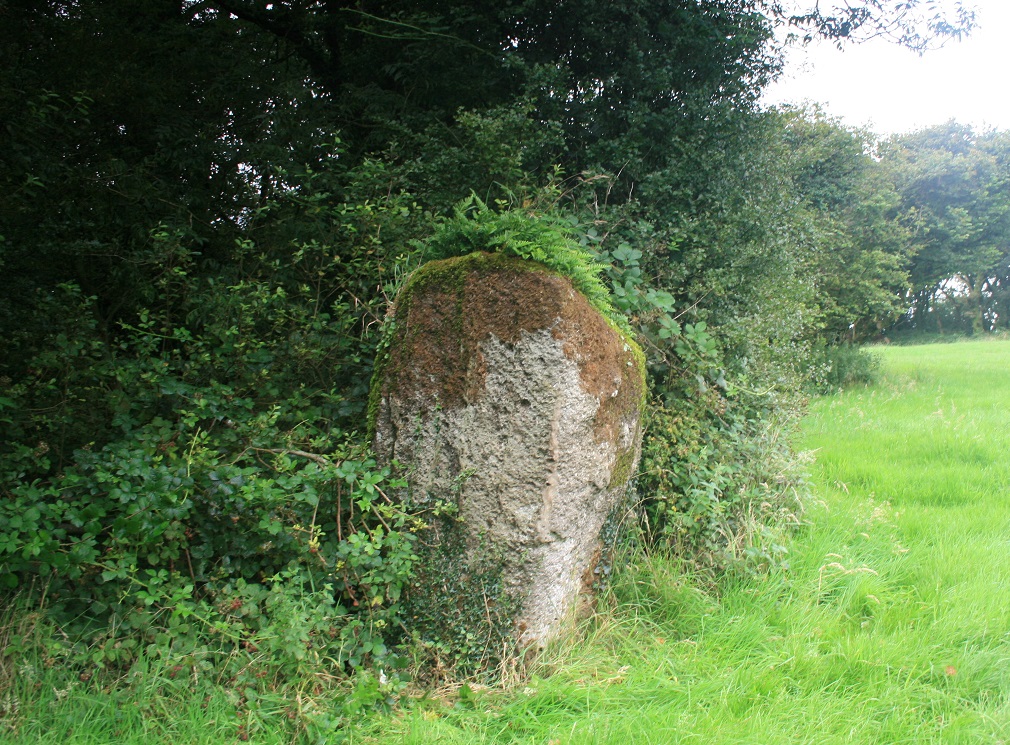 The remains of Capel Coker are situated within a small copse of trees north of the three stones. A standing stone is located at the north-east corner of the copse. Its height is given as 6ft 6in and it is described as a square pillar, and it was reputedly known locally as ‘the pulpit’.