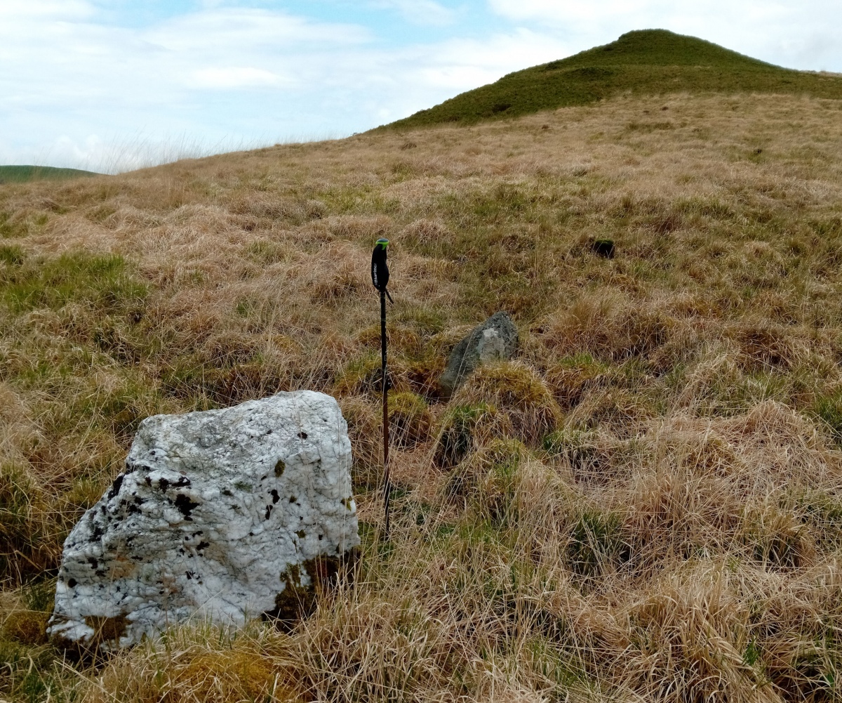 Glandwr Standing Stone