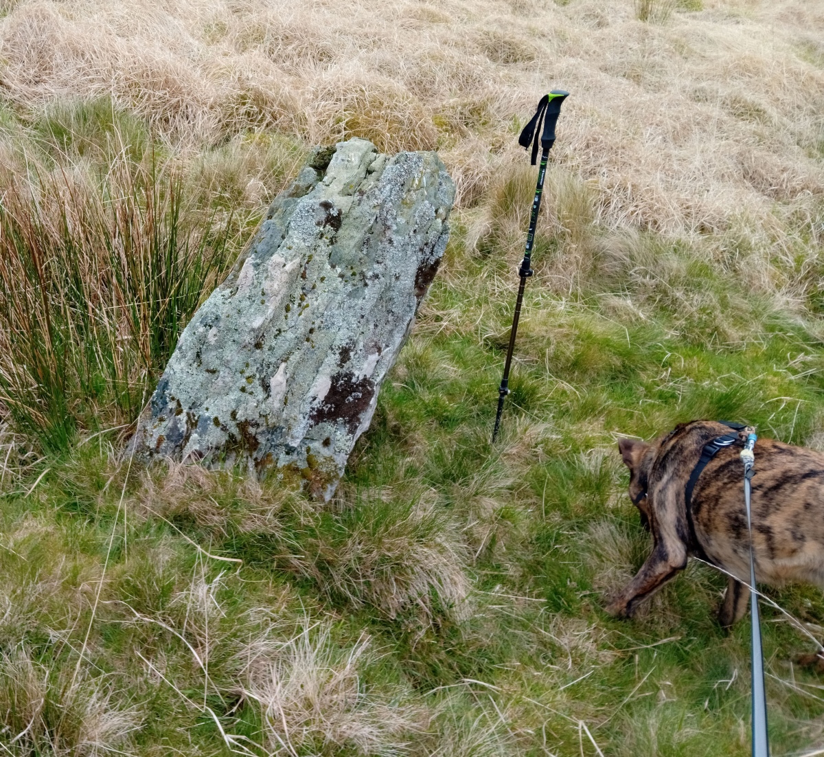 Disgwylfa Fach Stone 2