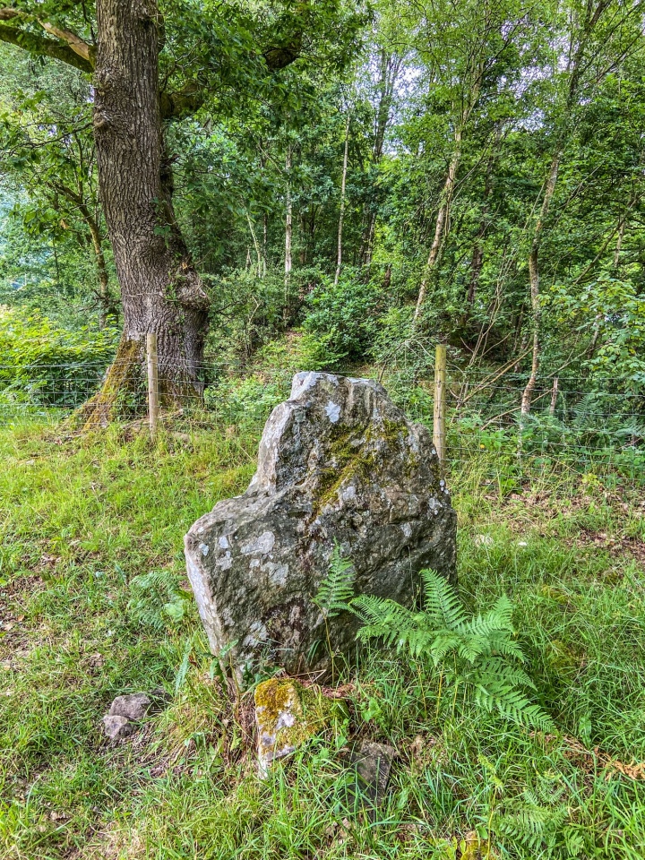Stone near Castell Gwynionydd