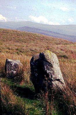 Buwch ar Llo standing stones in Ceredigion