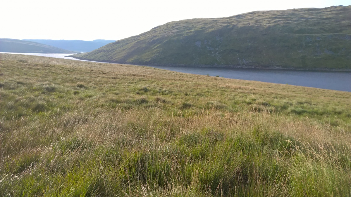 Nant Maesnant Fach Round Cairn