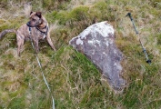 Esgair Gorlan Chambered Tomb - PID:273167