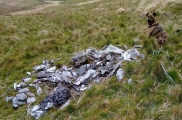 Disgwylfa Fach Cairn - PID:273163