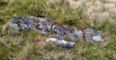 Disgwylfa Fach Menhir 4 - PID:273158