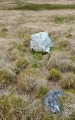 Glandwr Standing Stone - PID:273108