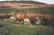 Hirnant Kerb Cairn - PID:119