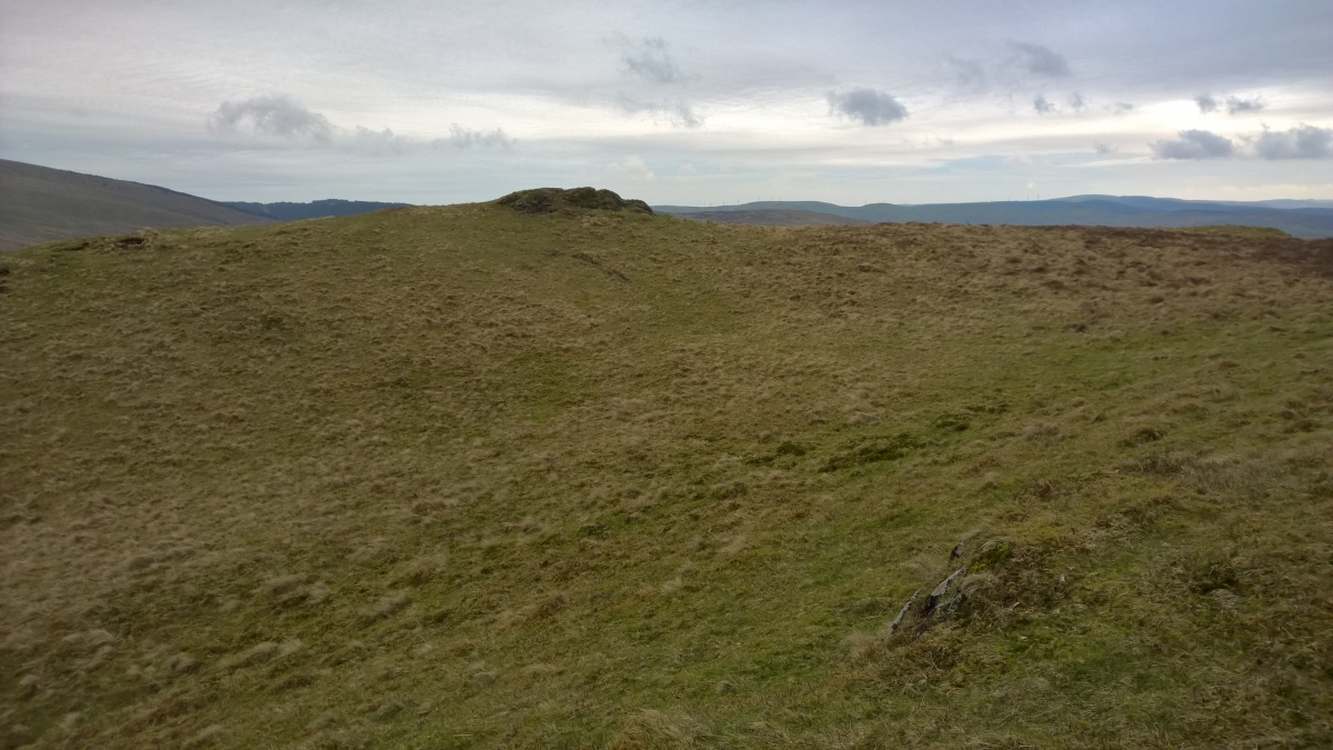This ridge is opposite the eastern side of the barrow. The aerial shots of this site show the feature as a long natural ridge but from the ground it looks like a rampart. There are other features up here that also look like some of the ramparts on Dinas hillfort just to the SE. 