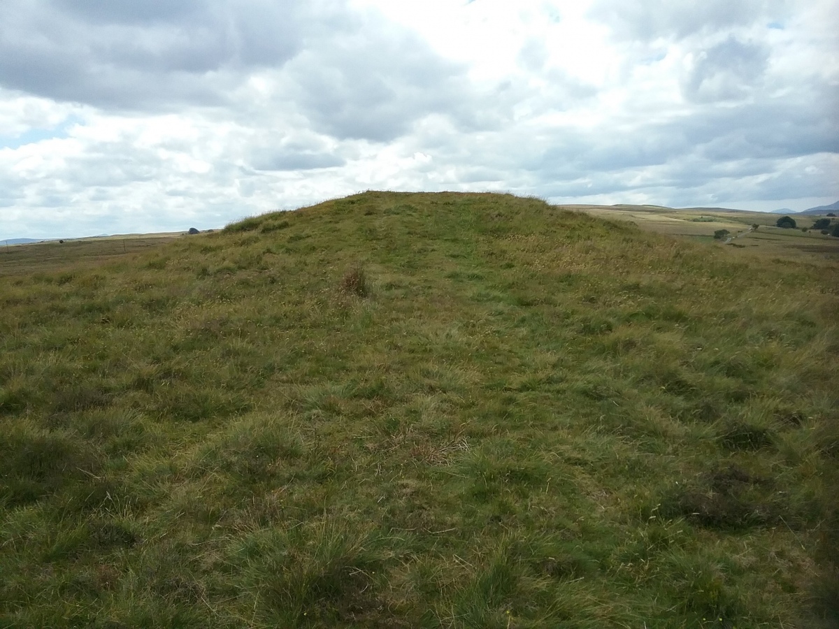 View to the east across the barrow.