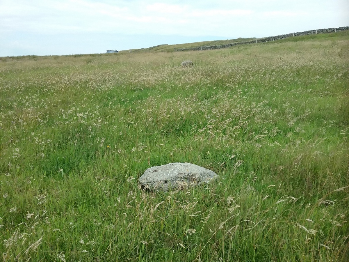 Large stone under packed with smaller stones. Cairn?