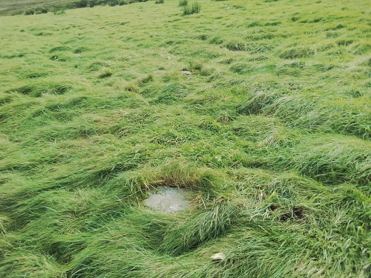 Some of the underlying stones.