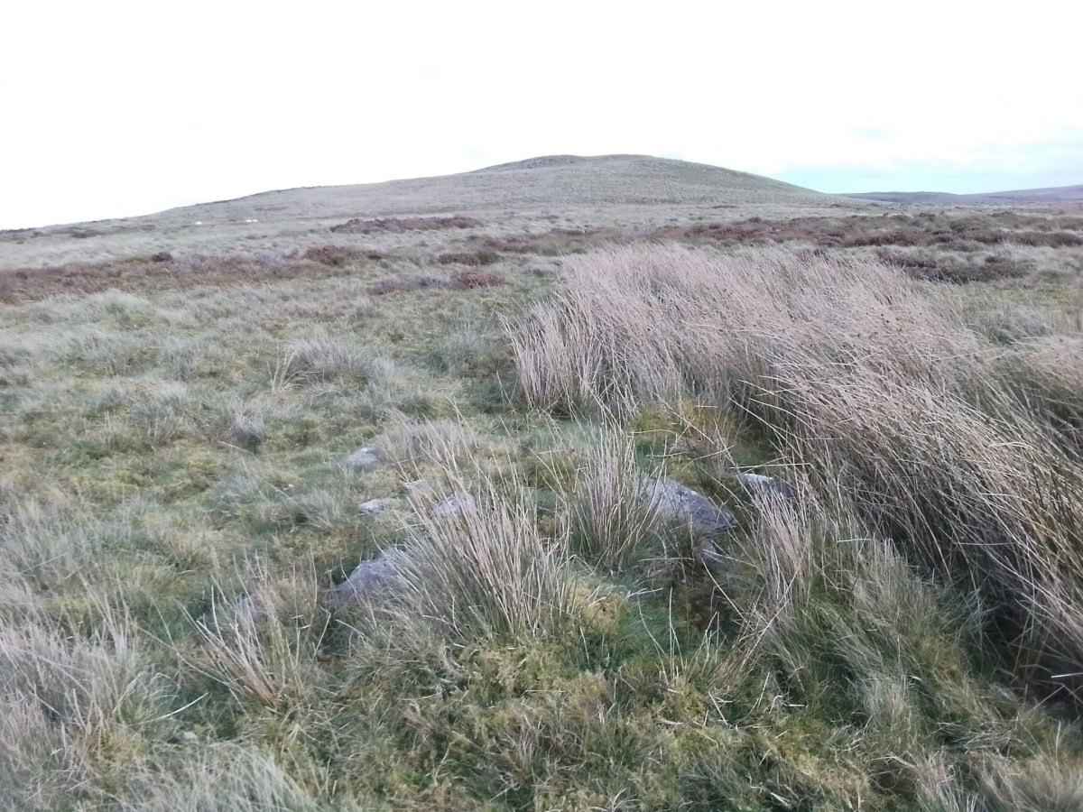 View to the north across the cairn with Moel Rhiwlug in the distance. 