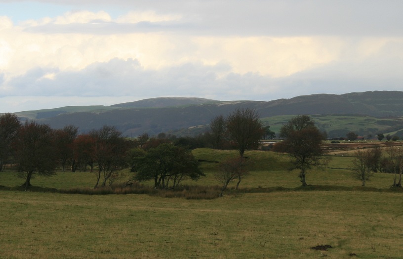 A log view from the south