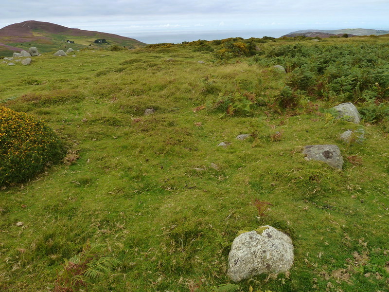 Waen Gyrach.  Stones of the 15m ringcairn with the kerbcairn visible at the top left of the photo.