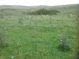 Maes Merddyn Ring Cairn 1 - PID:260368