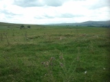 Maes Merddyn Ring Cairn 2 - PID:260372