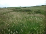 Hafod Y Garreg Earthworks and Cairns - PID:260900