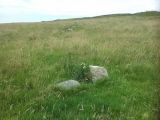 Hafod Y Carreg Cairn Field - PID:260888