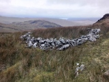 Moel Farlwyd Hut Circle - PID:268218