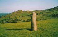 Maen Hir (Conwy) - PID:126352