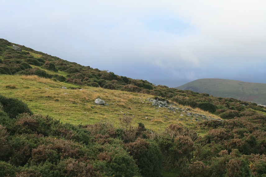 Looking west to the mountains.