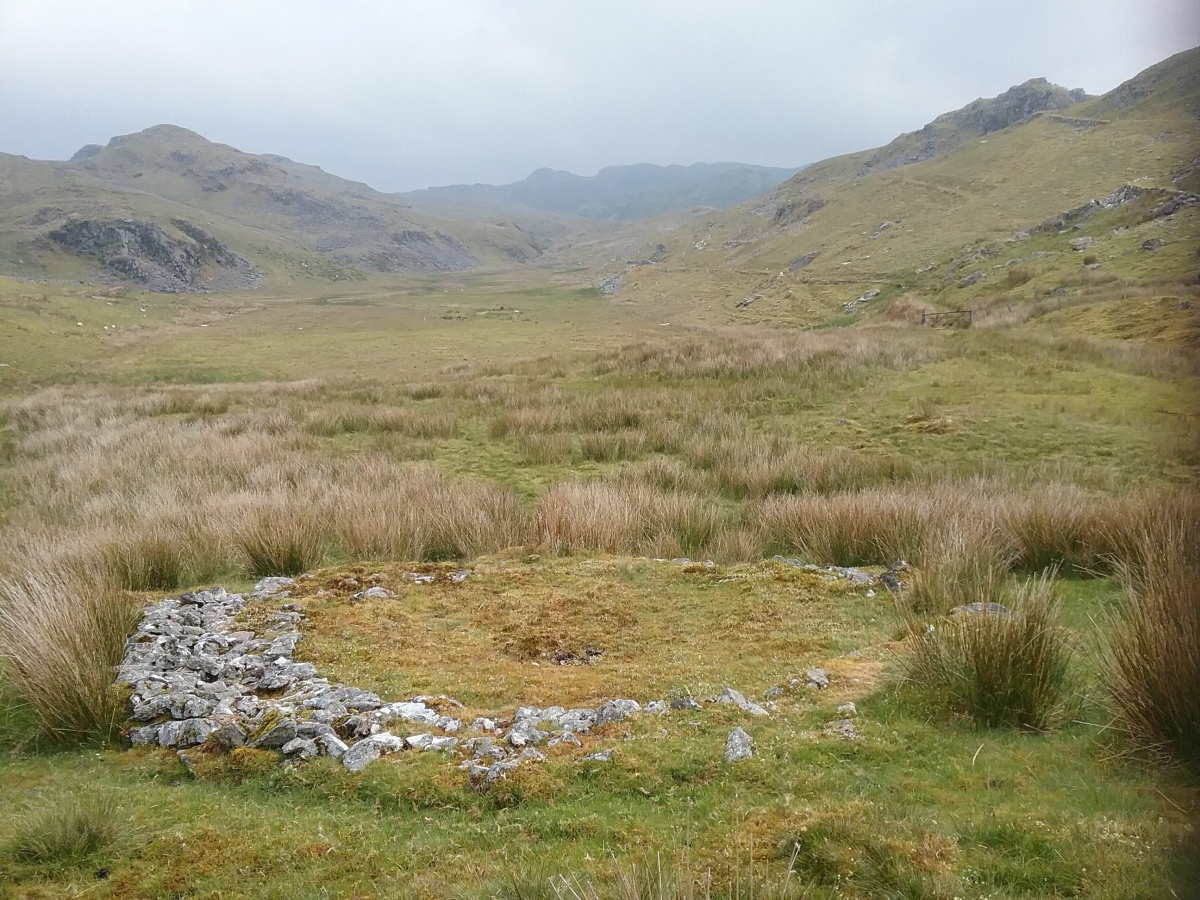 Bryn Y Castell hut circle