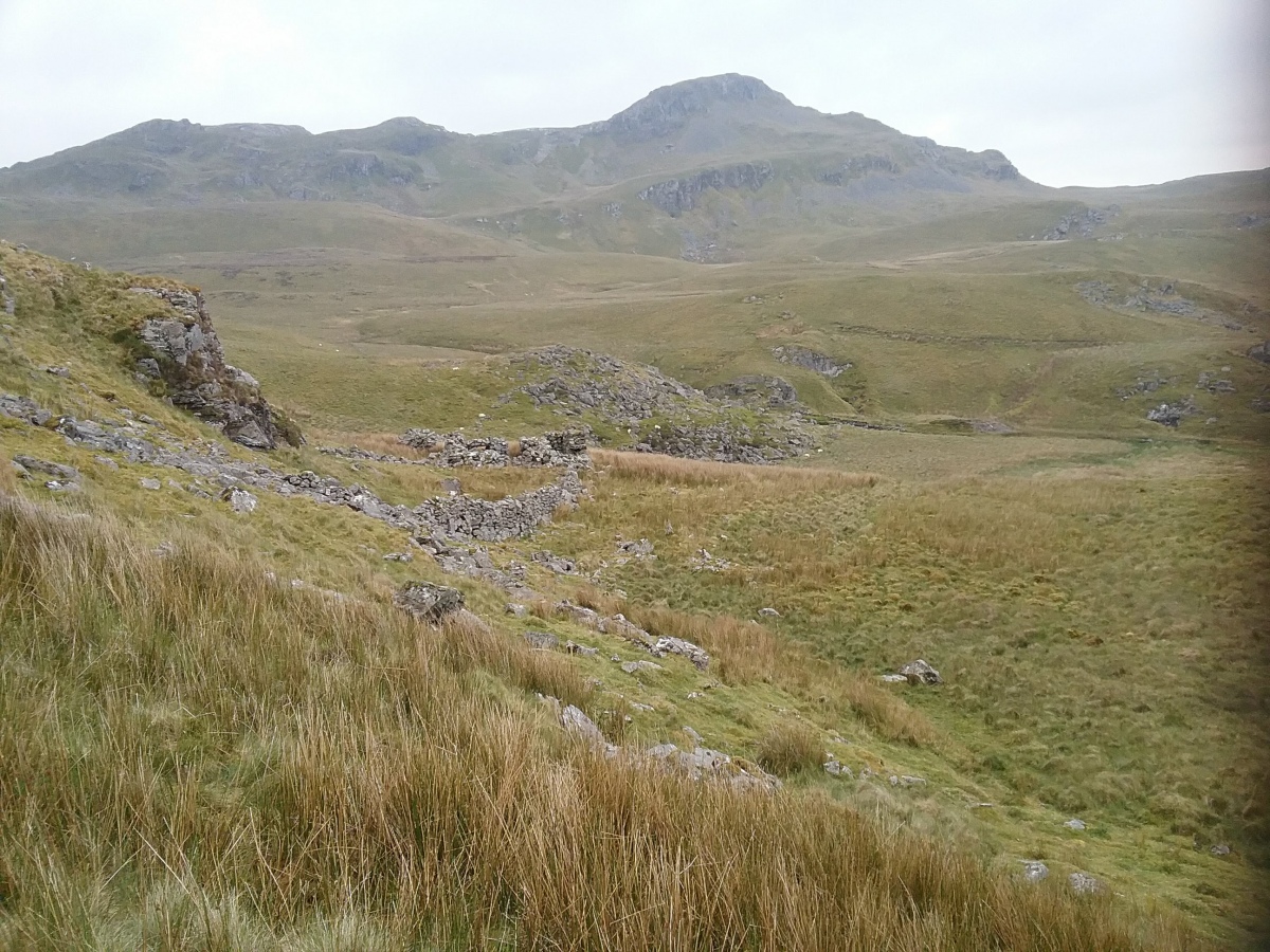 Gamallt Iron Age Settlement