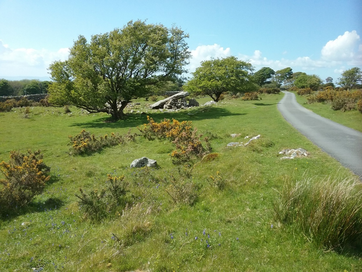 Distant shot of the monument looking west along Ffordd Ffridd Isa.