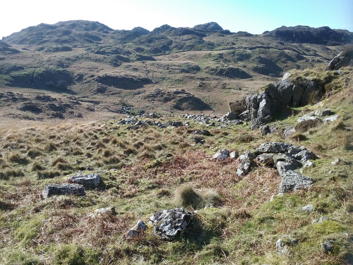 View towards Cerrig y Myllt in the west. Two hut circles in the foreground. The closest had an interior diameter of 5m. The furthest had a 6m diameter. 