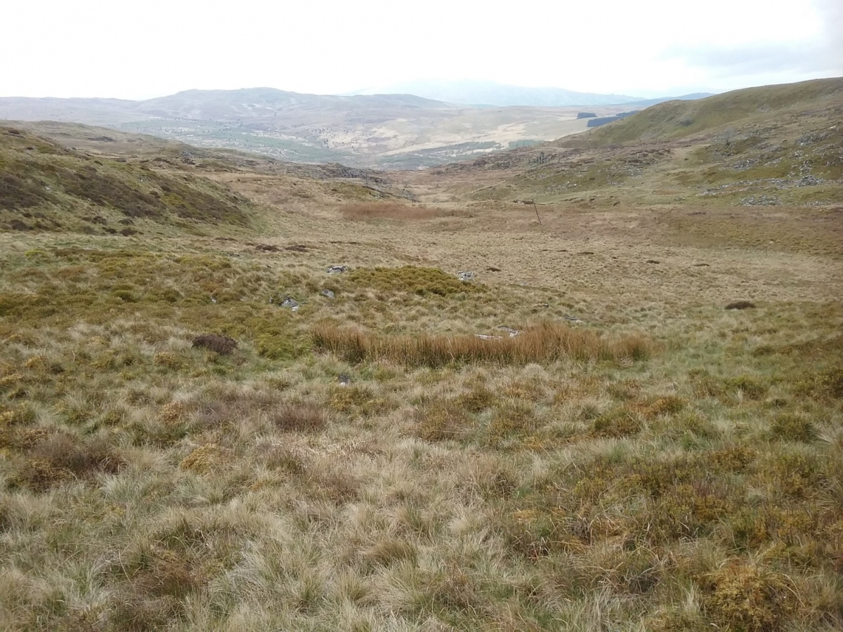 View to the south across the ring cairn site (centre pic). 