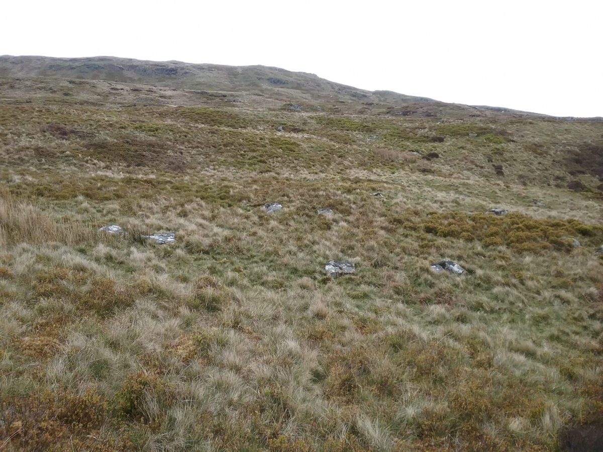 View to the east across the site (centre pic) with Moel Oernant above. There are several large boulders in an oval shape 9/10m diameter with a raised bank between them. 