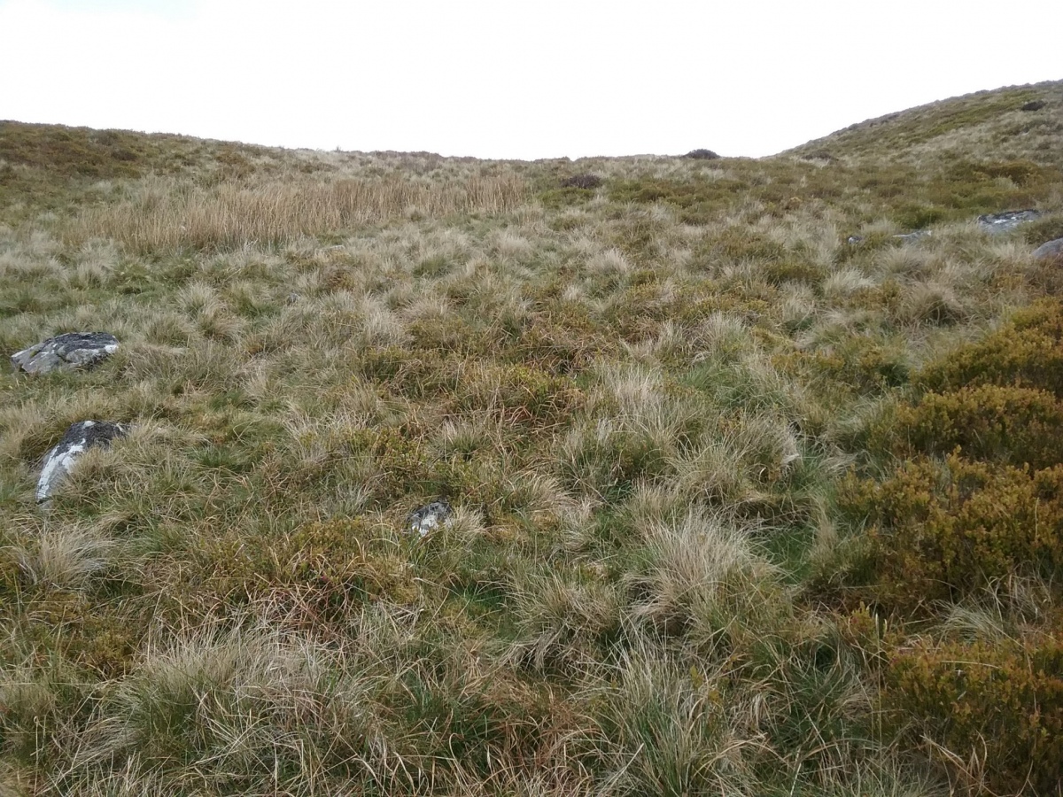 The western arc and interior of the ring cairn. 