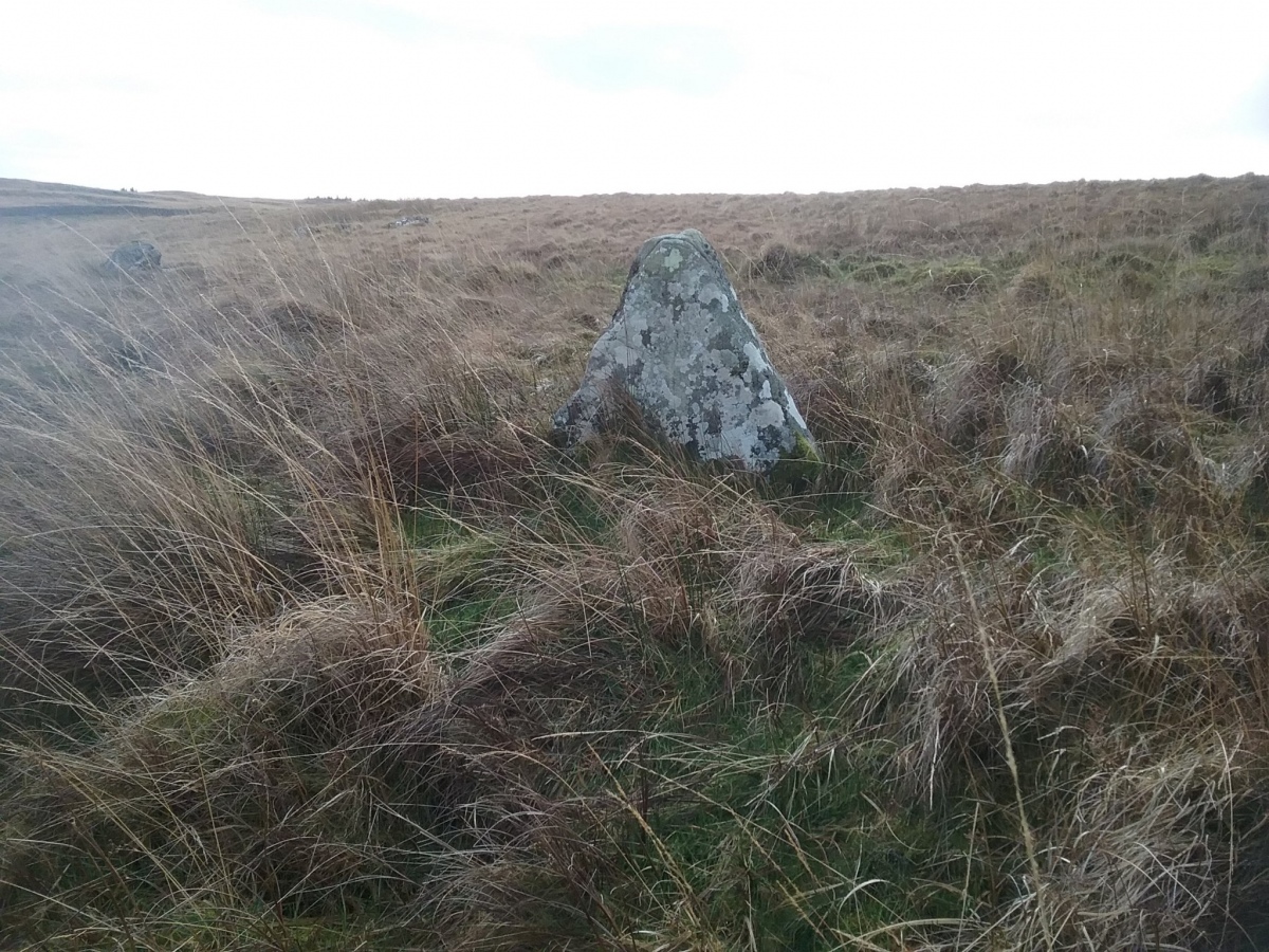 View to the south with the undulating terrain leading up to the crest of the spur. 