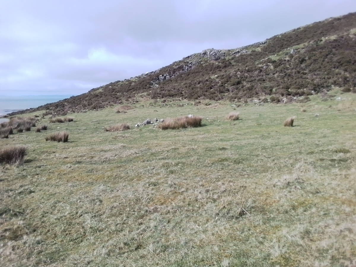 Westerly view across the cairn site (centre).