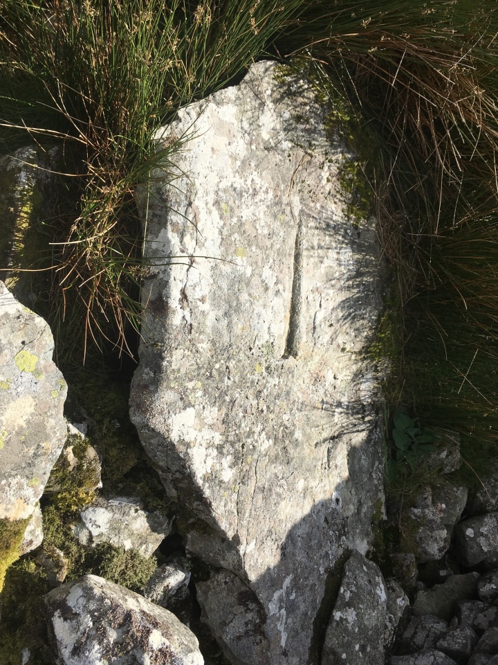 This stone is lying on the ground by the 2 upright ones of Carneddau Egryn. I was wondering what made that distinctive mark.