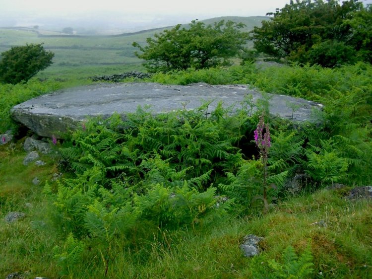 Capstone looking South