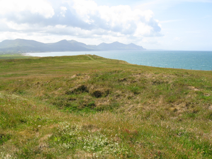 Not so easy to separate amongst the grass, but in the foreground is the hollow in what appeared to be a barrow or mound of some description.