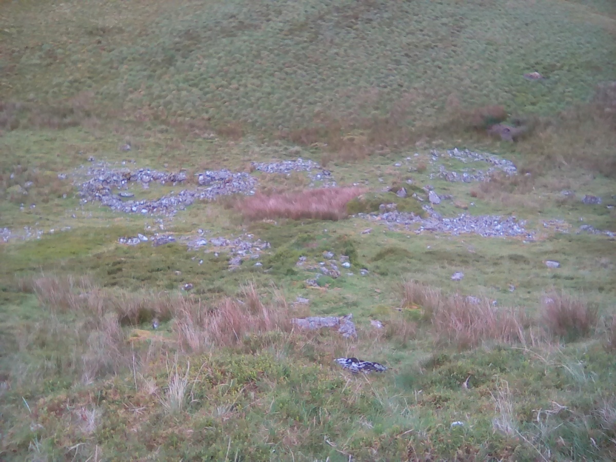 Gamallt hut circles